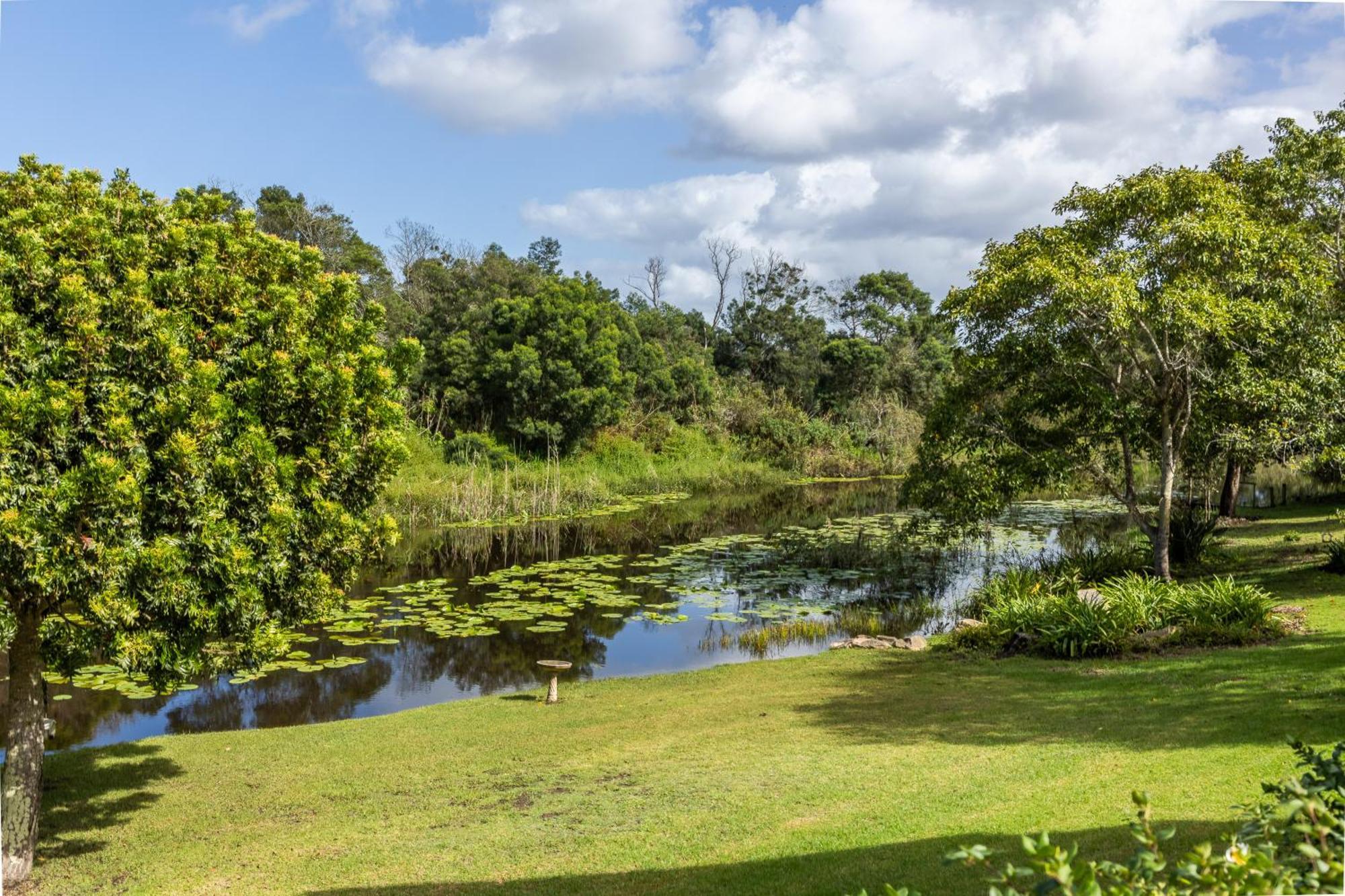 Bitou River Lodge Plettenberg Bay Exteriör bild